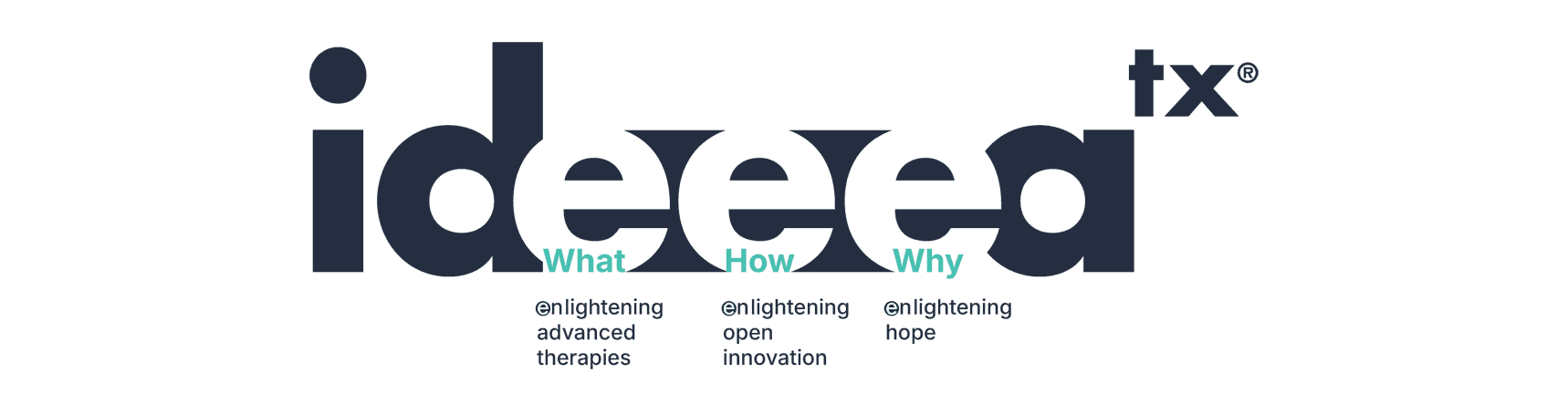 IDEEEA_WEB_7_e5dc29ed21HL2